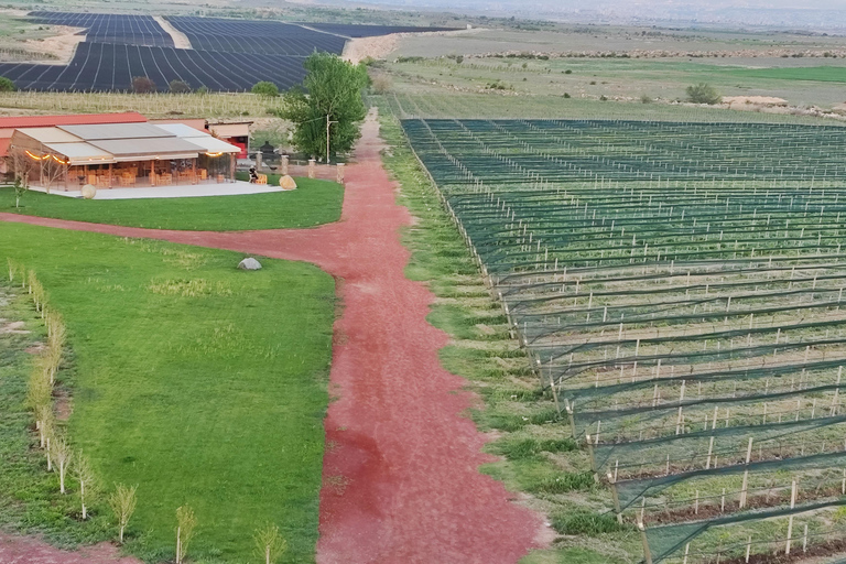 La magia del vino y la cultura religiosa en Armenia: De los santuarios a las bodegas