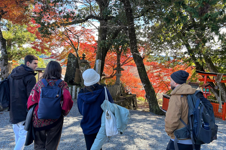 Excursión privada guiada a pie de medio día en YoshinoyamaVisita guiada privada a pie de medio día en Yoshinoyama