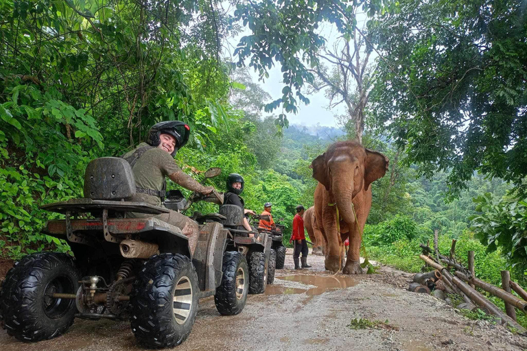Chiang Mai Adventure: Rafting, ATV & Elephants Experience. Bamboo rafting (4km.) & 1 hrs. ATV.