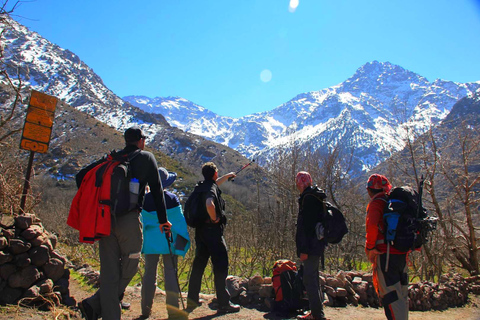 Excursion d'une journée à Marrakech en tyrolienne dans le Haut Atlas