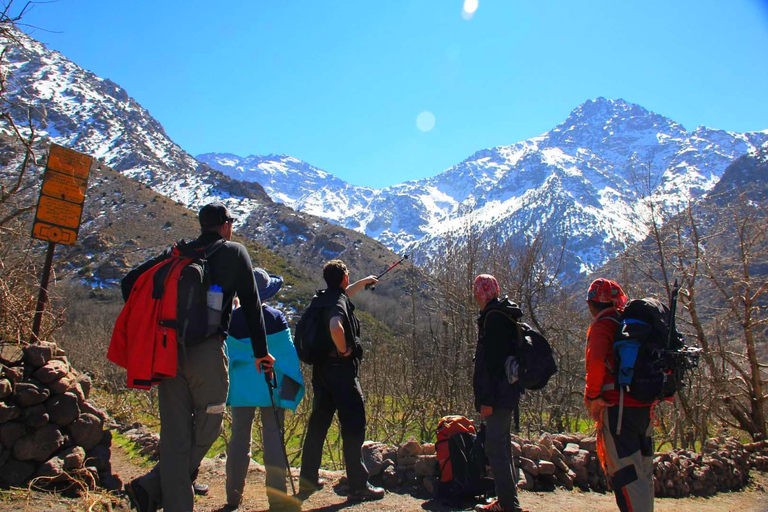 Från Marrakech: Zip Line-tur i Atlasbergen med frukostFrån Marrakech: Heldagstur till Atlasbergen