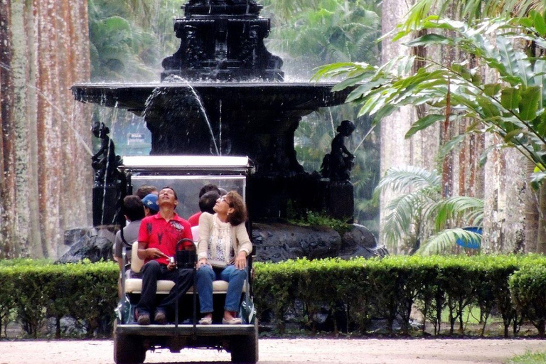 Rio de Janeiro : Visite privée Premium du Jardin Botanique