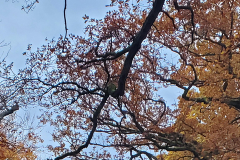 Copenhagen: Deer Park and Hermitage Palace Guided Walk