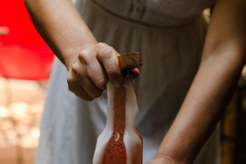 São Paulo: deguste vinhos naturais da América Latina.