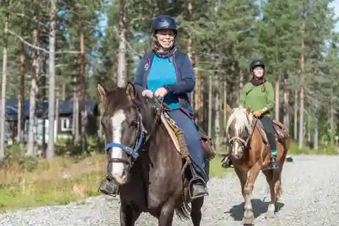 Levi : Randonnée à cheval dans la forêt finlandaise
