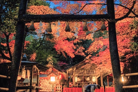 Kyoto & Osaka: Private Customizable Day Trip with Guide