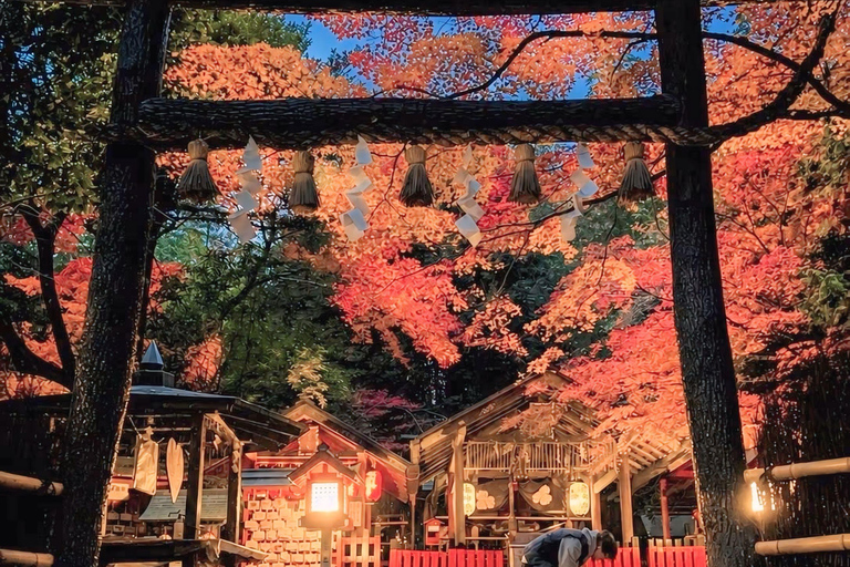 Kyoto & Osaka: Private Customizable Day Trip with Guide