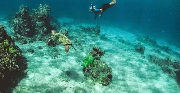 Los Cabos: Santa Maria & Chileno Bay Snorkel Adventure