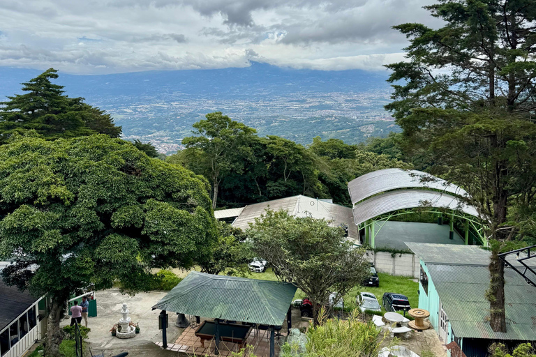 San Jose: Specialty Coffee Tasting & Brewing Experience