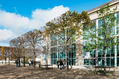Musée de l’Orangerie: Führung mit Monets SeerosenMusée de l’Orangerie: Privattour auf Englisch