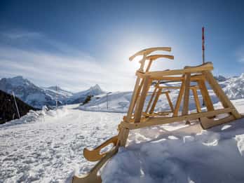 Zúrich: Jungfraujoch privado y emocionante aventura en Velogemel