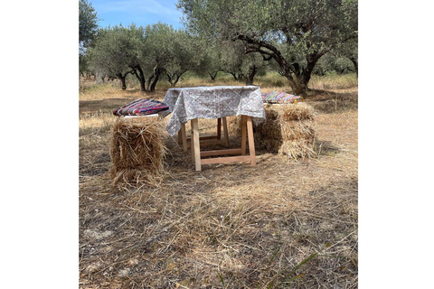 Heraklion: Cretan Farmers Brunch and Olive Grove Tour