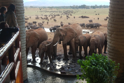 Mombasa: 5-Day Safari- Amboseli, SaltLick, Ziwani & Ngutuni