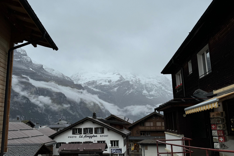 From Milan: Harley Davidson motorcycle tour in 5 countries unique experience! Milan: Harley Davidson motorcycle tour in 5 countries unique experience!