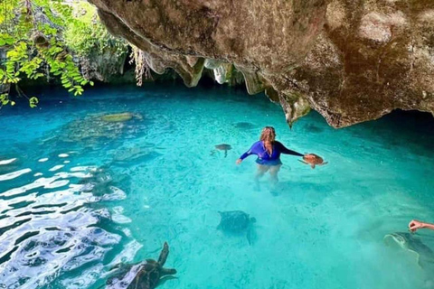 Nungwi: Swim with Sea Turtles at Sanctuary with Transfer Private Tour with Hotel Transfer Anywhere in Zanzibar
