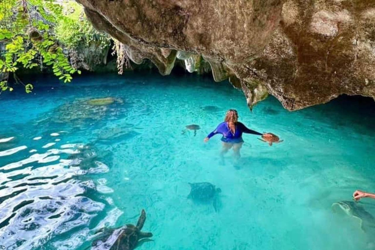 Nungwi: Swim with Sea Turtles at Sanctuary with Transfer Private Tour with Hotel Transfer Anywhere in Zanzibar