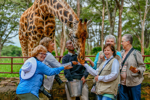 Karen Blixen, Giraff, Kobe Pärlor och KICC Tower Guidad tur