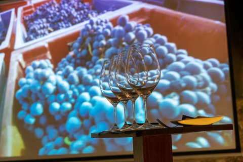 La Rioja: CM Matarromera Winery Tour