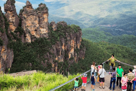 Tour du monde scénique de la nature et de la vie sauvage dans les Montagnes bleues