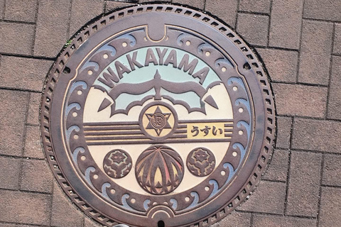 Wakayama: Mt. Koya, Kumano Kodo & Nachi Falls Private Tour