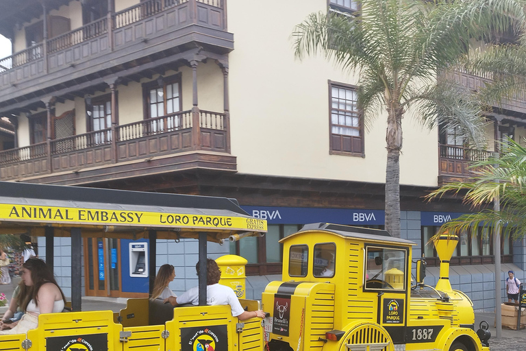 1-2 hour walking route through Puerto de la Cruz, Tenerife