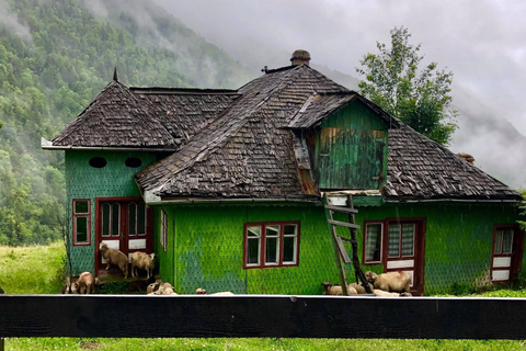 Bucareste: Santuário dos Ursos Pardos e Passeio de Quadriciclo