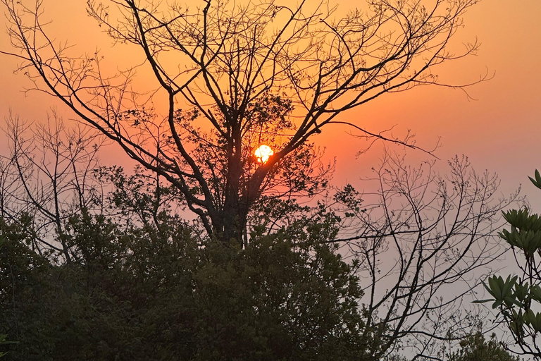 Kathmandu: Nascer do sol em Nagarkot e caminhada até Changunarayan