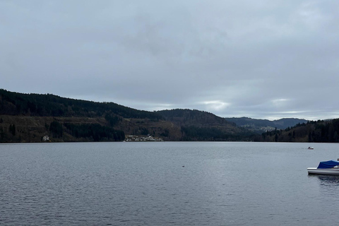 Vanuit Bazel: privé-excursie naar het Zwarte Woud, watervallen en meren