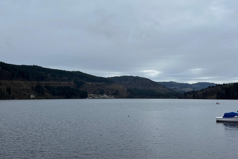 Vanuit Bazel: privé-excursie naar het Zwarte Woud, watervallen en meren