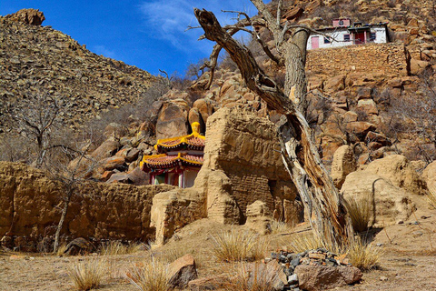 Terelj en wereldenergiecentrum Gobi nachttrein tour