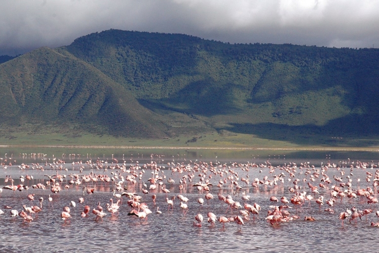 2-dniowe safari Tarangire i krater Ngorongoro
