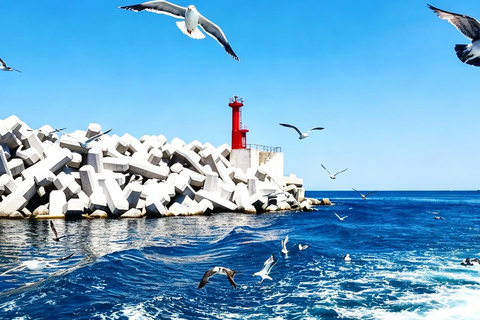 Otaru, Yoichi Distillery & Cape Kamui (Shakotan) Day Trip Upgrade to Private Tour