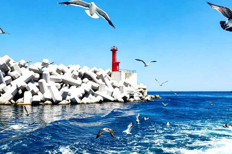 Otaru, Yoichi Distillery & Cape Kamui (Shakotan) Day Trip Upgrade to Private Tour