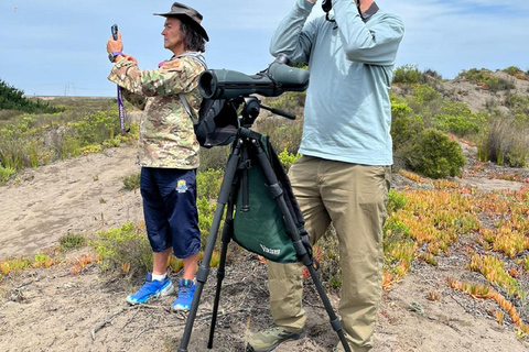 From Valparaiso: Private Mantagua Wetlands & Penguins Tour