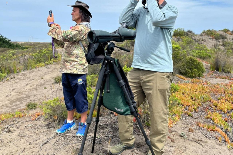 From Valparaiso: Private Mantagua Wetlands & Penguins Tour