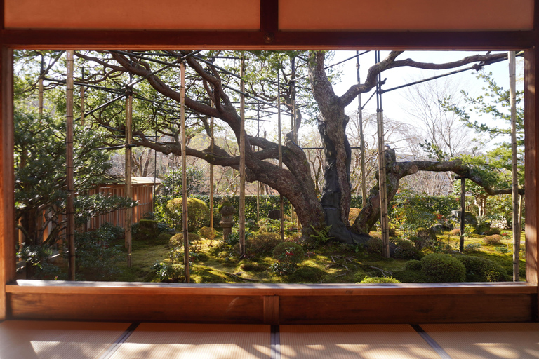 A Serene Private Day Trip by Car from Kyoto to Lake Biwa Kyoto Station Meeting Point