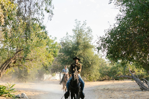 Dragør: Kongelundsskoven Forest Horseback Riding Tour