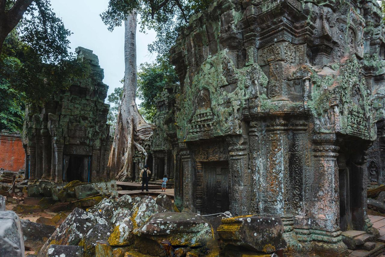 Siem Reap: Tour per piccoli gruppi di Angkor Wat di un giorno intero e tramonto