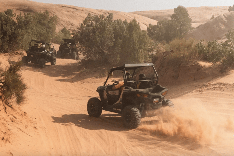 Agadir: Buggy Safari Adventure
