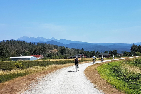 Vancouver: Lynn Canyon Park Hike & Pitt Meadows Bike Tour