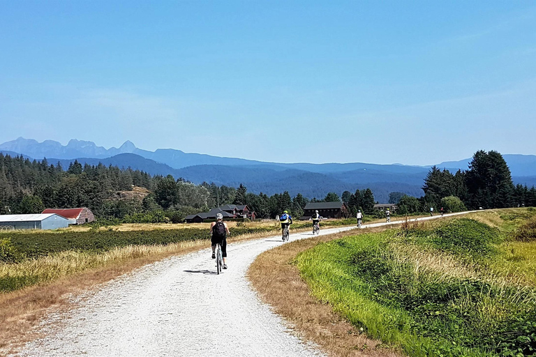Vancouver: Lynn Canyon Park Hike & Pitt Meadows Bike Tour
