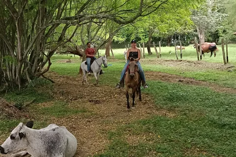 De Medellín: Passeio a cavalo + Visita a Santa Fé de Antioquia