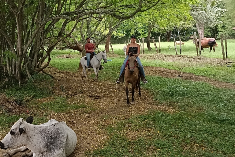 Desde Medellín:Wycieczka do Caballo+Odwiedzenie Santa Fe de AntioquiaDesde Medellin: Paseo a caballo+Visita Santa Fe de Antioquia