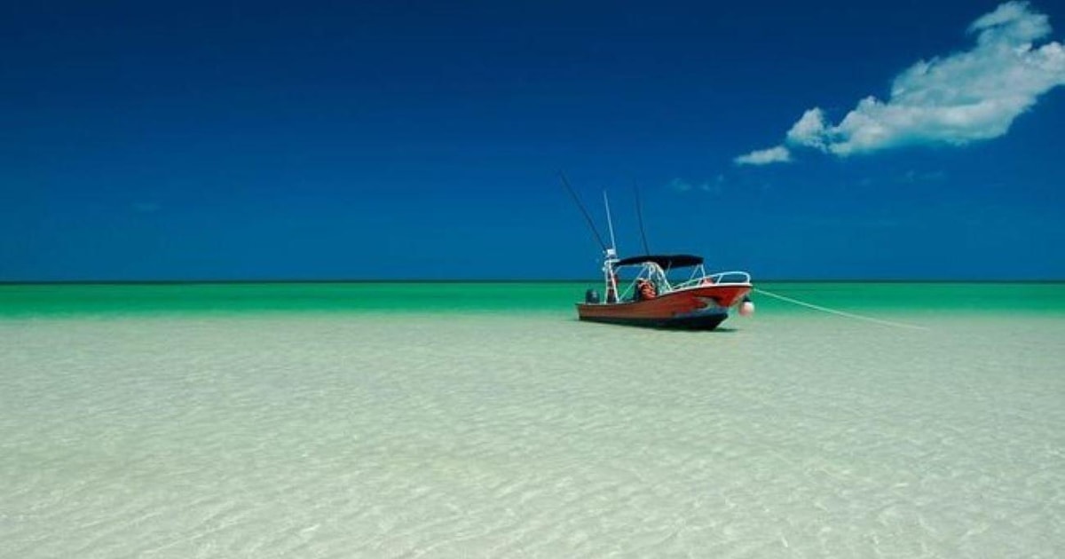 Playa del Carmen: Holbox Island and Cenote Tour with Lunch | GetYourGuide