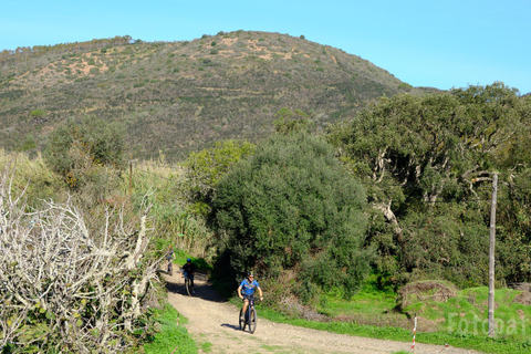 Musette Lagos fietstocht