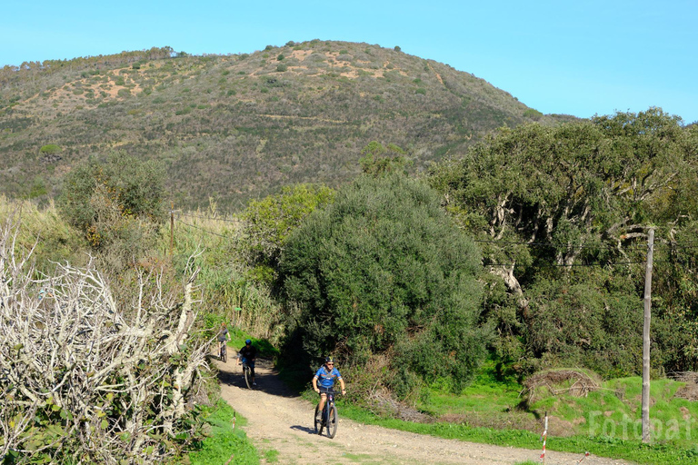 Tour in bicicletta di Musette Lagos