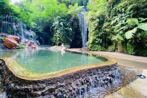 Eine Tagestour: Wasserfall, Tempel am Ende in KretaCretya Ubud und Wasserfall Tour : TICKETS INKLUSIVE
