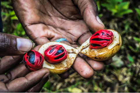 Zanzibar: Spice Farm & Stone Town Cultural Tour Tour without hotel transfer; all entry tickets included.