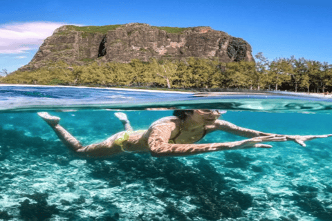 Île aux Bénitiers in motoscafo + nuoto con i delfini e pranzo