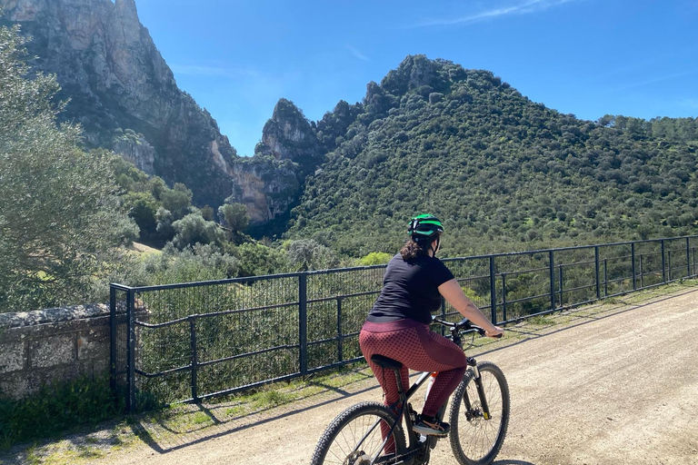 Depuis Ronda : Via Verde de la Sierra Easy Cycling Tour